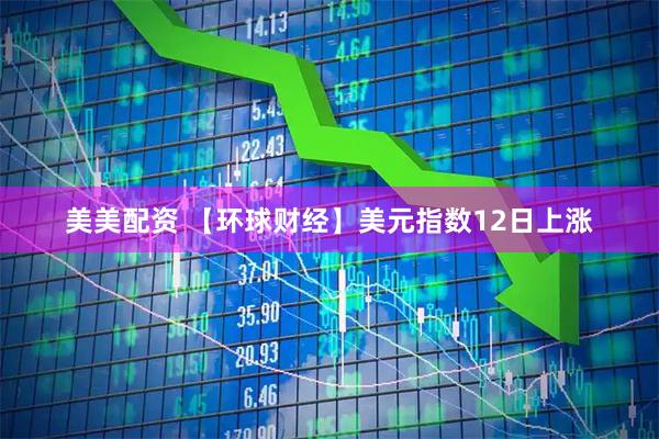 美美配资 【环球财经】美元指数12日上涨